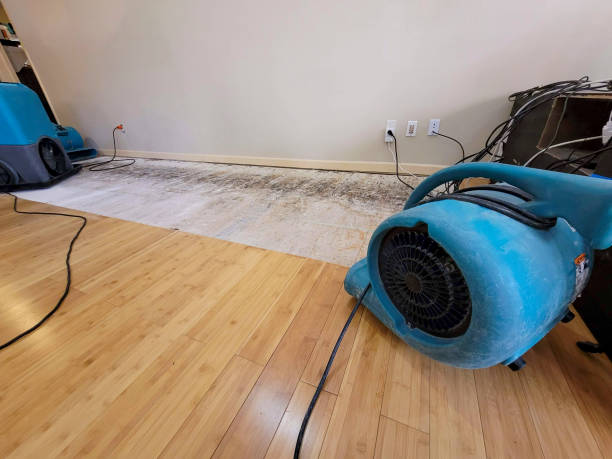 Professional Sewage Cleanup technician working in Oquossoc, ME